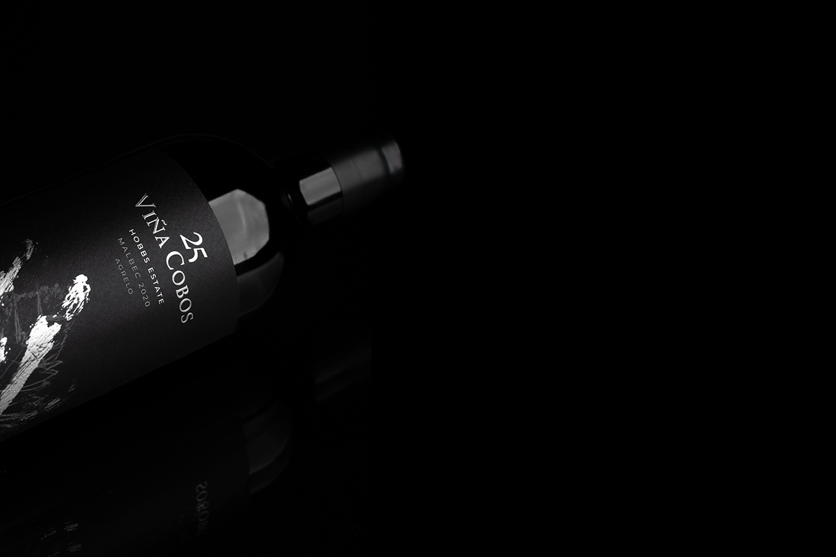 CARTA DE VINHOS